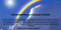 Montessori-Lehrkraft Primarstufe 60-100% ab August 2025, Zürich